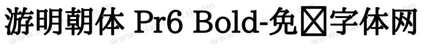 游明朝体 Pr6 Bold字体转换